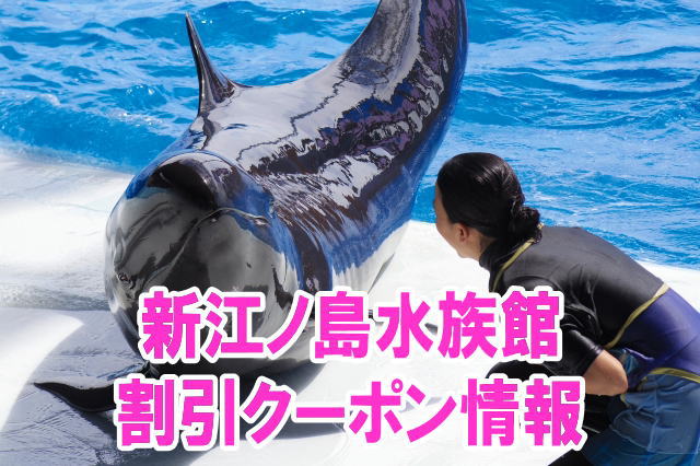 新江ノ島水族館の割引クーポン情報2019！前売り券やjaf、年パスの優待チケット