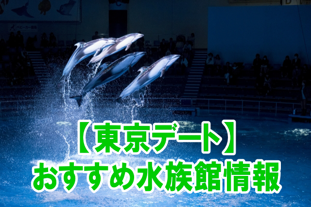 東京の水族館デートにおすすめスポットの楽しみ方と混雑、割引情報まとめ