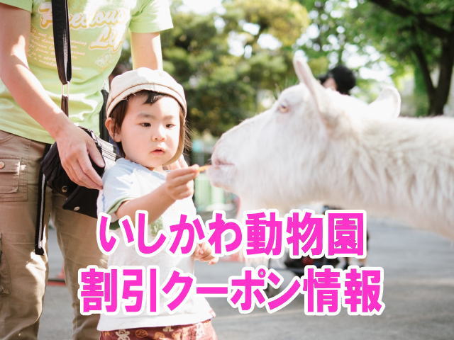 石川動物園の割引クーポン情報！無料入園方法とjaf、年パスのお得チケット